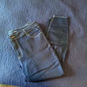 Old Navy Dark Wash Skinny Jean